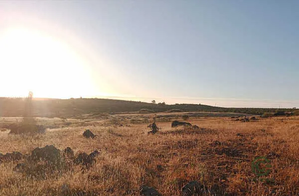 Finca rústica de 1,02 ha en venta en Berlanga, Badajoz