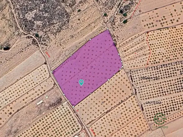 Spot image