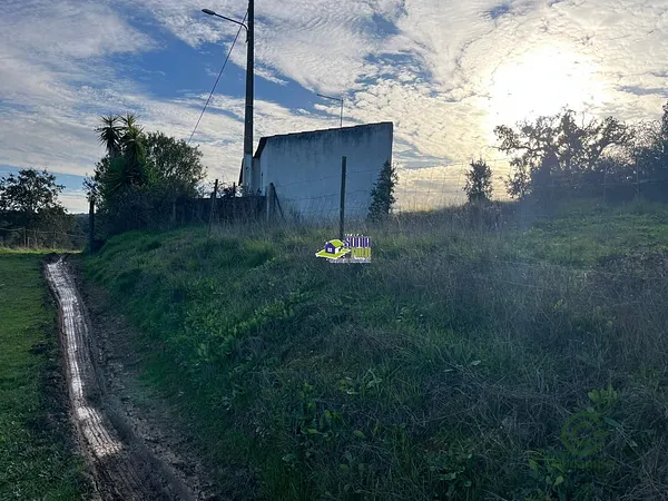 Spot image