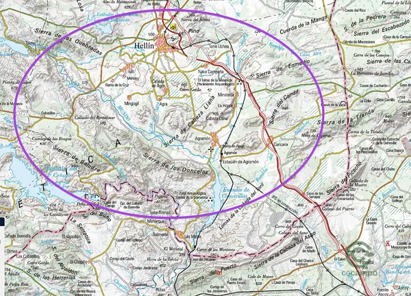 Spot image