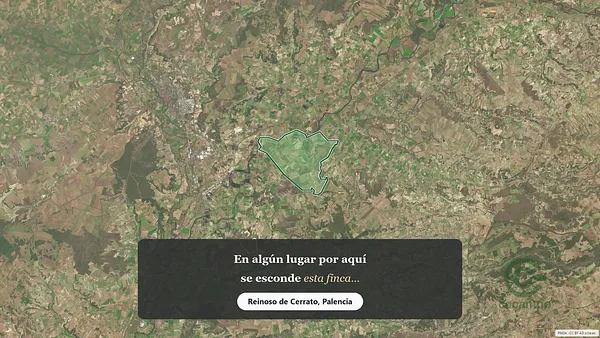 Spot image