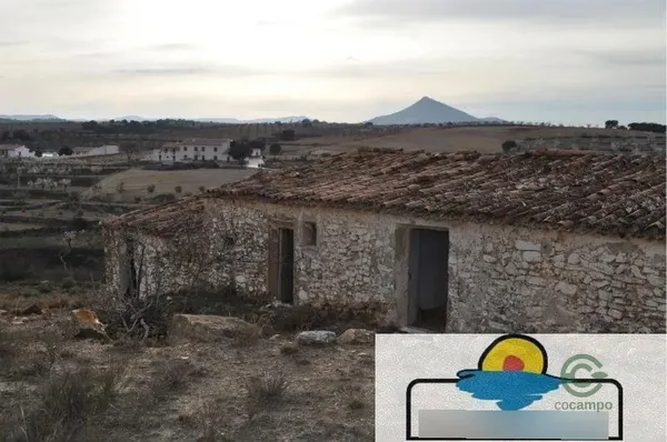 Spot image