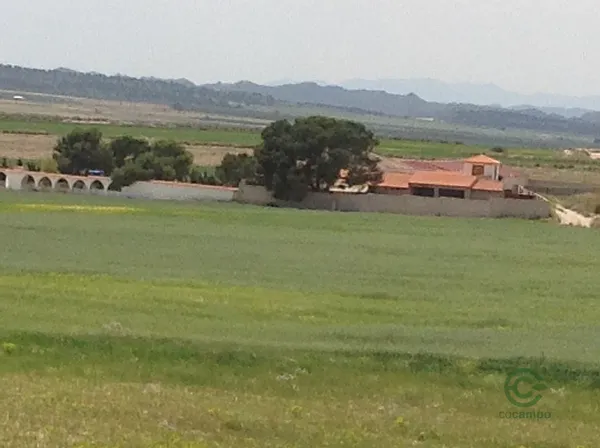 Spot image