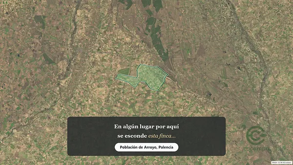 Spot image