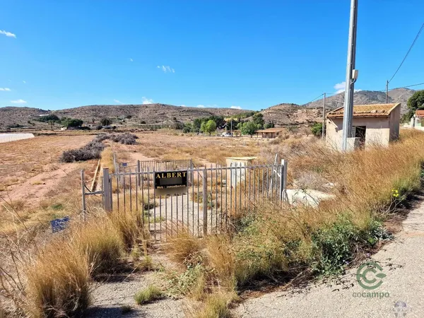 Spot image