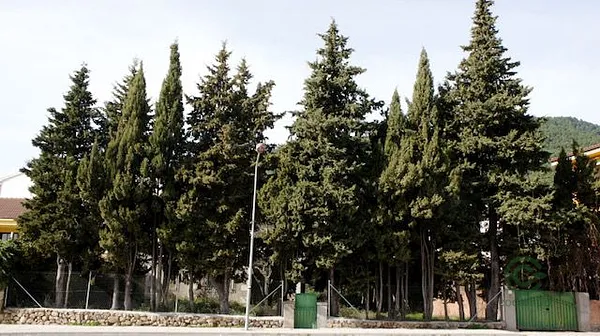 Casa de 0,1 ha en venta en Piedralaves, Avila