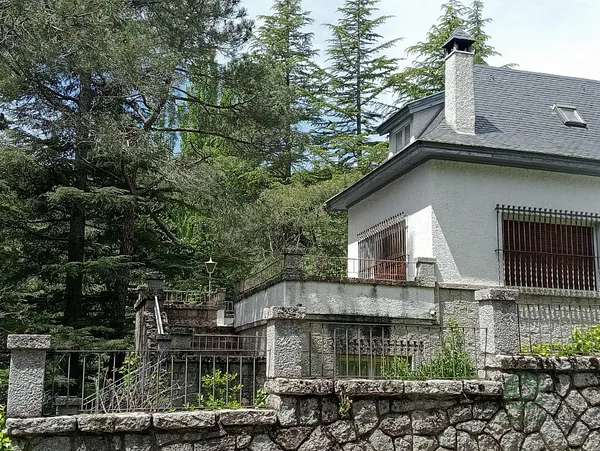 Spot image