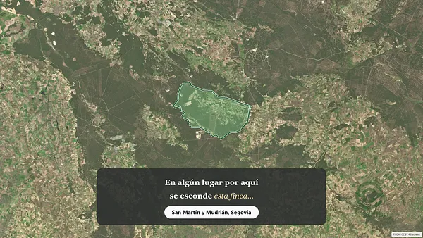 Spot image