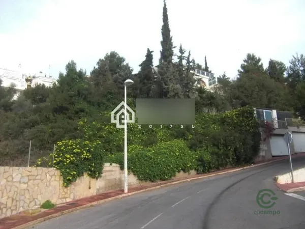 Spot image