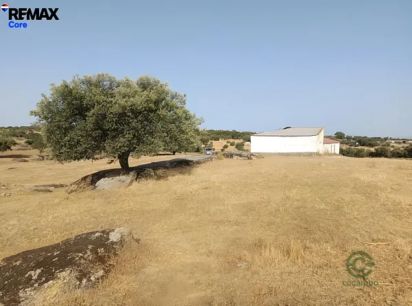 Spot image