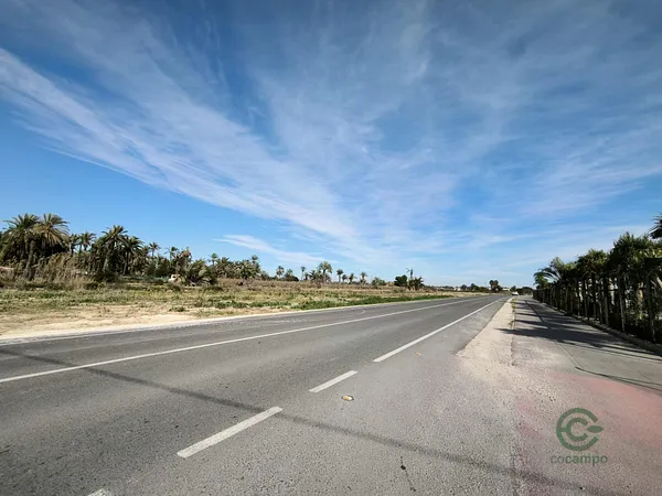 Finca agrícola de 1,6365 ha en venta en Elche pedanias, Alicante