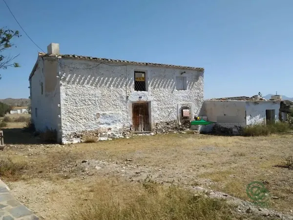 Spot image