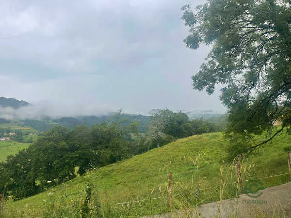 Finca rústica de 0,65 ha en venta en Nava, Asturias
