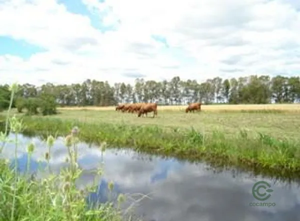 Finca rústica de 60 ha en venta en La pampa