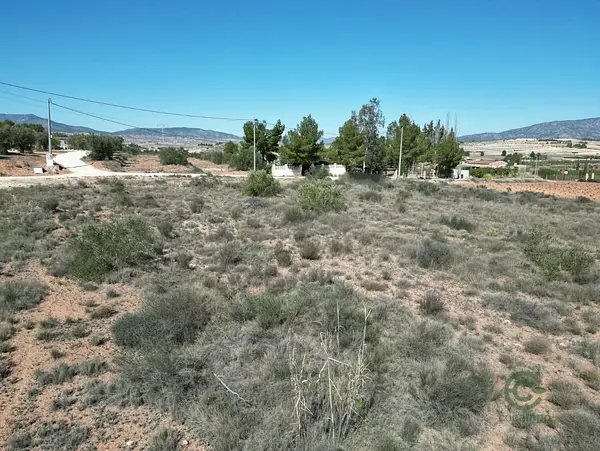 Spot image