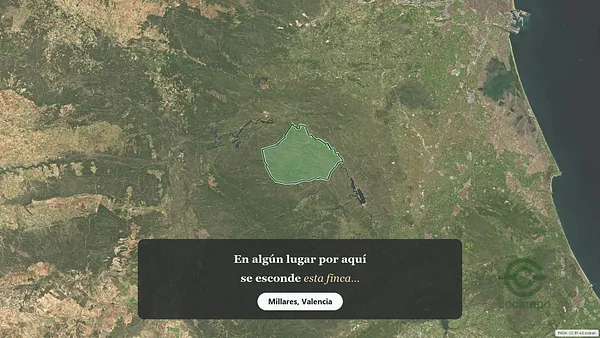 Spot image