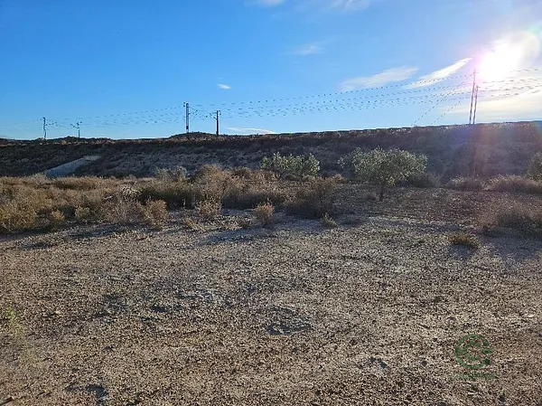 Spot image