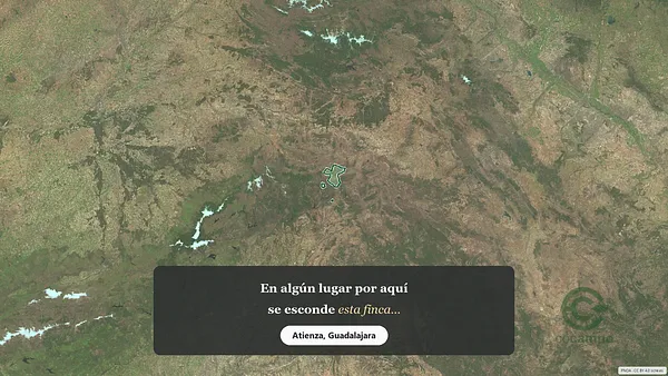 Spot image