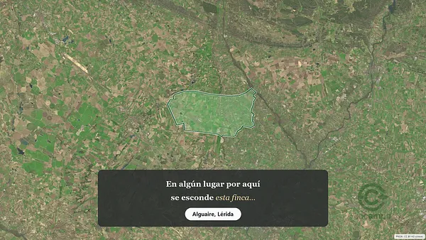 Spot image