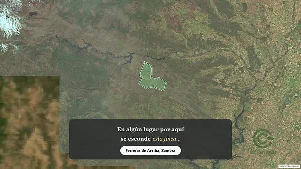 Spot image