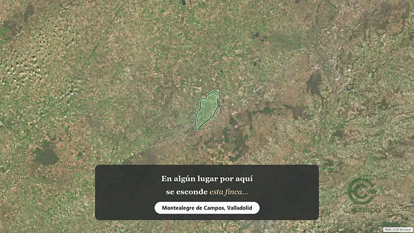 Spot image