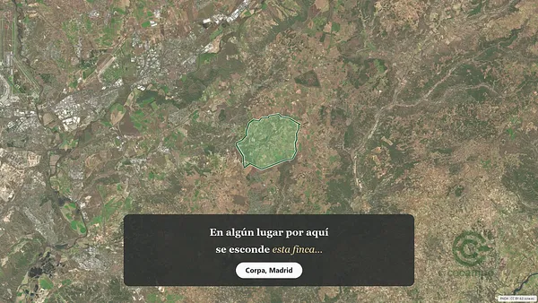 Spot image