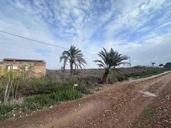 Finca rústica de 2,9 ha en venta en Crevillent, Alicante