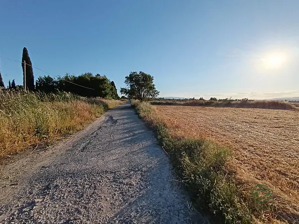 Spot image