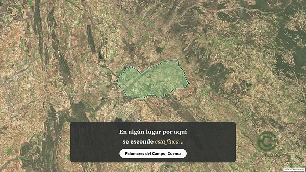 Spot image