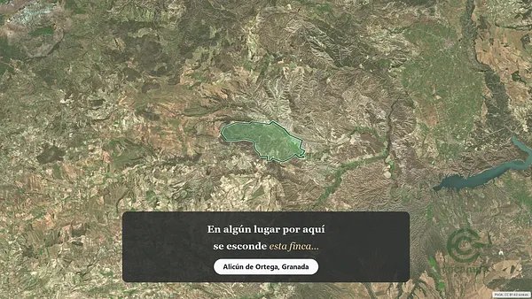 Spot image