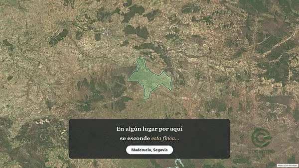 Spot image