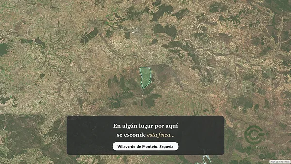 Spot image