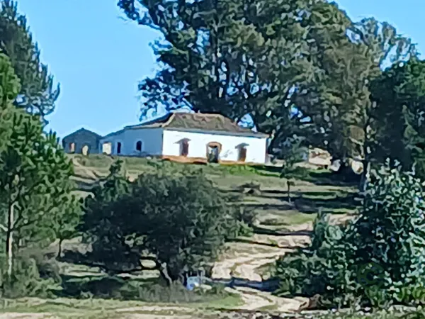 Finca rústica de 160 ha en venta en Almonte, Huelva