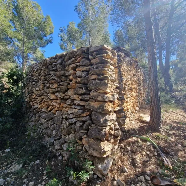 Spot image