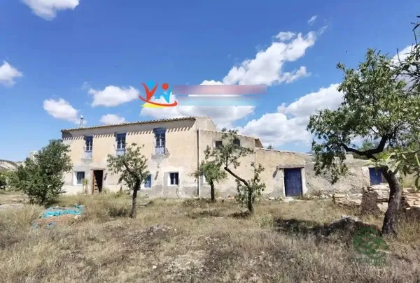 Spot image