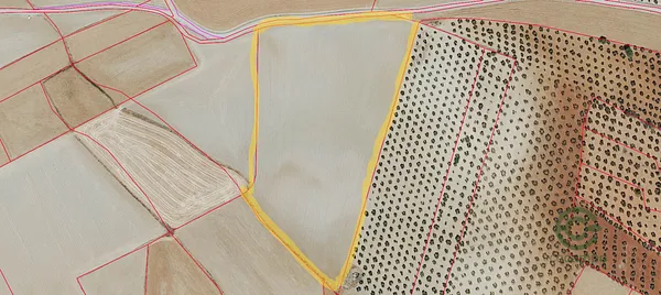 Spot image