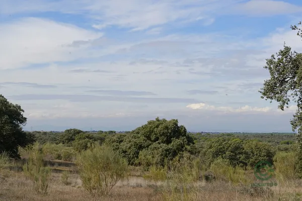 Rustic property of 574 ha for sale in Madrid