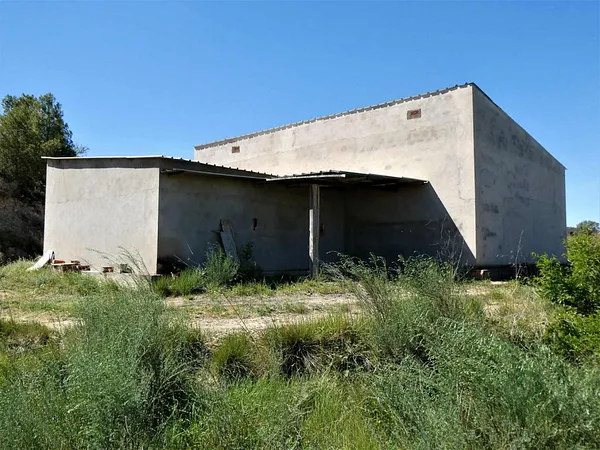 Spot image