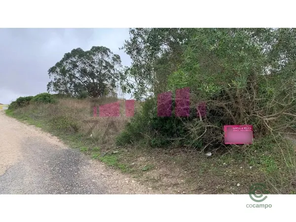 Spot image