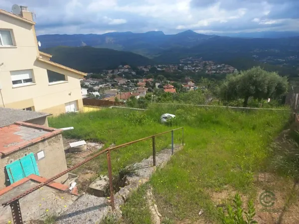 Spot image
