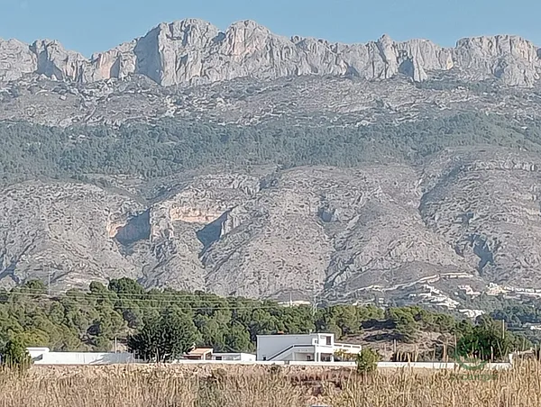Rustic property of 5,7 ha for sale in Alicante
