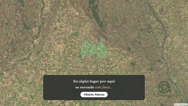 Spot image