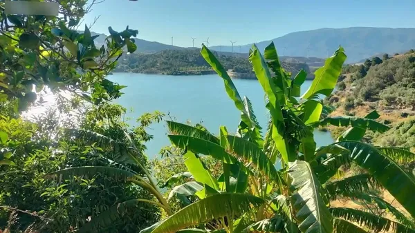 Finca agrícola de 0,39 ha en venta en El pinar, Granada