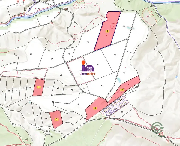 Spot image