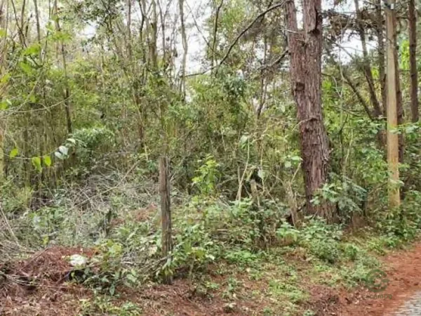 Fazenda florestal de 2,186 ha para venda em Rio de janeiro