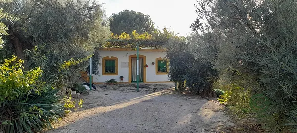 Spot image