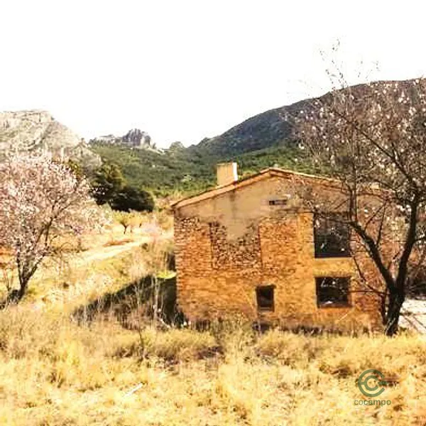 Spot image