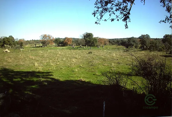 Finca ganadera de 72,91 ha en venta en Madrid