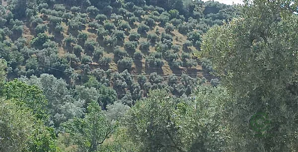Finca rústica de 1,22 ha en venta en Montoro, Córdoba