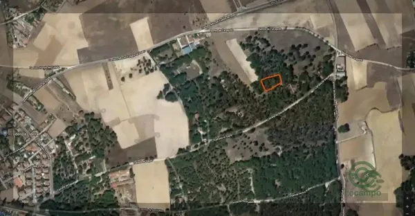 Spot image